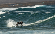 44210-3409_Deska_Kiteboarding_Duotone_2021_Wave_Surf_Whip_SLS_Airton.png