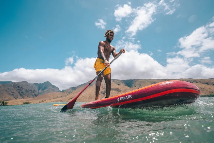 13200-1302_Wiosło_Fanatic_Paddle_Sup_Foil_Carbon_80_Fix_paddle.jpg