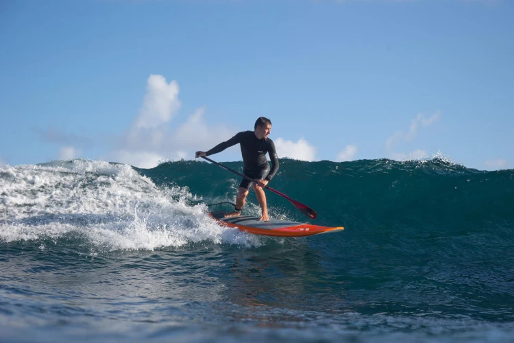 13200-1302_Wiosło_Fanatic_Paddle_Sup_Foil_Carbon_80_Fix_ride.jpg