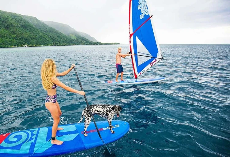 Starboard-sail-for-windsup-boards-COMPACT-2021.jpg