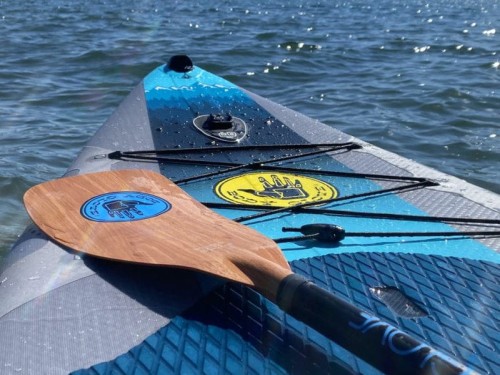 Body-Glove-single-Sup-oar-blade-shape.jpg