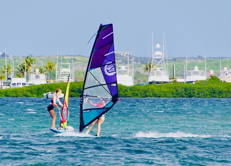 Żagiel-Windsurfing-Foil Xwind-PRO- Reflex-Sail-2024 PurpleBlue.jpg
